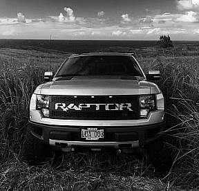 Решетка радиатора декоративная для Ford F-150 SVT 2011-2014